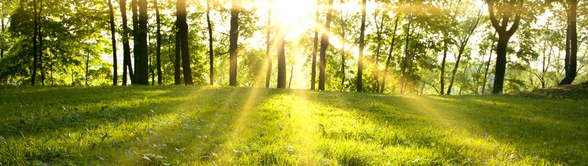belang belichting header
